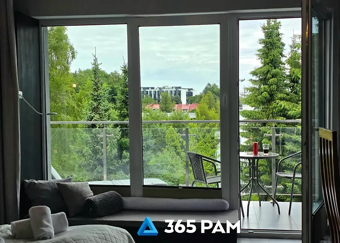 365pam - Biale I Czarne W Dominikanie Przy Morzu シャノジェンティ